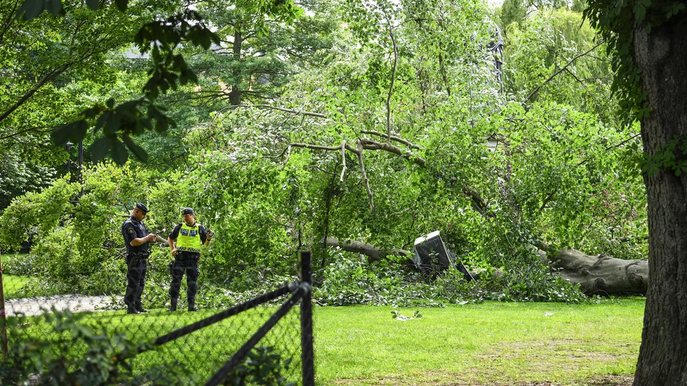Ett stort träd har fallit i Berzelii park vid Nybroplan i centrala Stockholm.Tre personer har skadats lindrigt i samband med att trädet föll, uppger polisen.