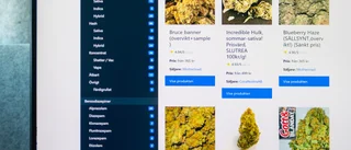 Drev "Blocket för droger" – elva års fängelse