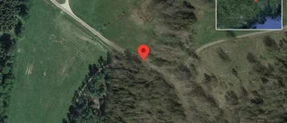 Problem i trafiken efter nedfallna träd på väg 835