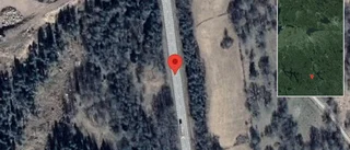 Problem i trafiken efter nedfallna träd på väg 23