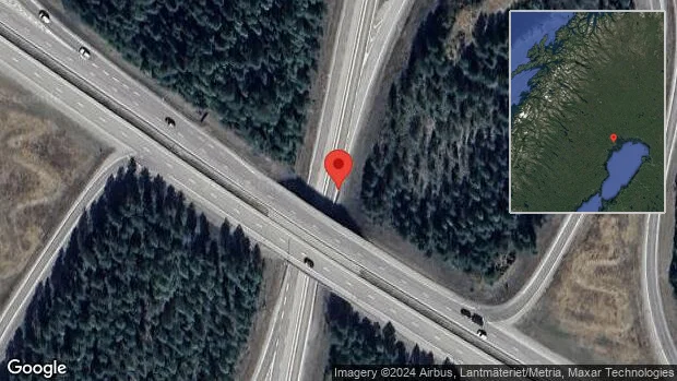 Varning för rådjur på vägen på E4