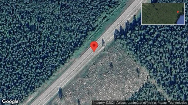 Trafikverket varnar för älg på vägen på E4