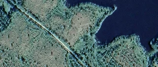 Ägarbyte för skogsmarken på Korpdal 4 i Boden