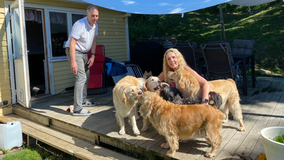 Annelie Lundh är djurvän och har inte mindre än fem hundar, plus en lånehund. Med på bilden är även maken Stefan.
