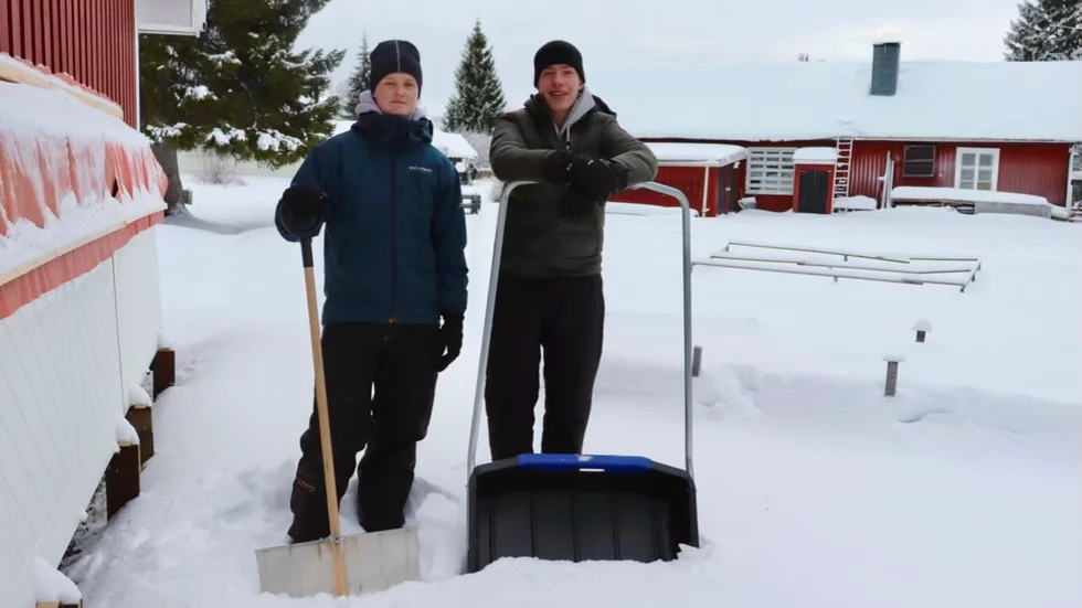 16-åriga Julius Eklund och Isak Söderberg, Öjebyn, erbjuder skottning i snökaoset och har haft fullt upp.