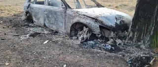 Polisens hetaste spår efter mordet i Ekholmen: En stulen Audi