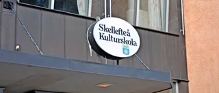 Kulturskolan: Alliansen vill utreda brister – ”Växande köer, lärarbrist och oro”