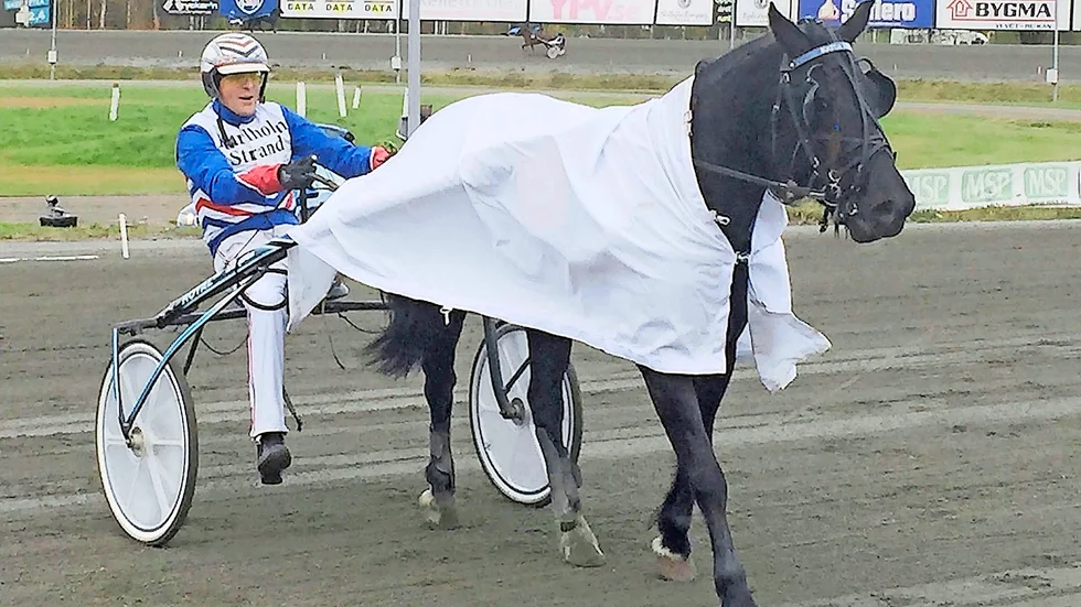 Ove A Lindqvist väljer att inte köra Skelleftehästen Katla Kiro i finalen i Norrlands Stoelit på fredag.