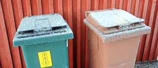 Ska det vara så svårt att låta bli välta soptunnorna?
