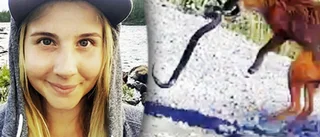TV: Amanda, 23, fångade dödsfajt på film – mellan orm och räv