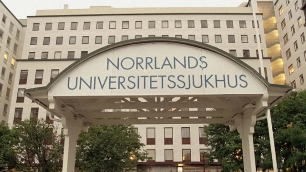 Det är här jobben hamnar: i Umeå, hävdar skribenten