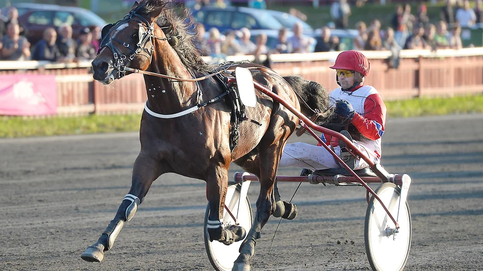 Noralf Braekken kunde känna sig lugn när norske Juliano Rags åkte undan från spets i Stig Lindmarks Styrkeprov. Foto: Jeanette Lövgren