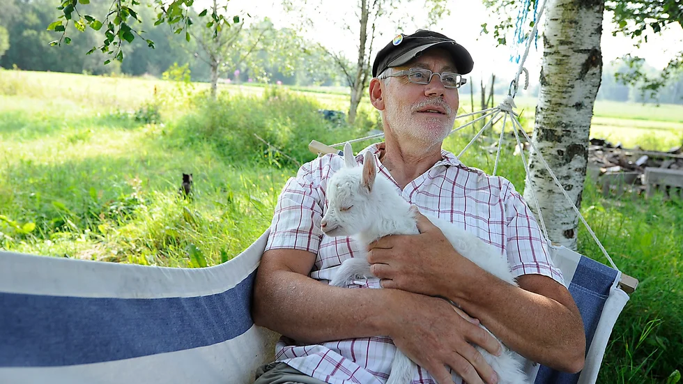 Ett tag funderade familjen Wik på att göra sig av med sina jämtgetter, Hasse Wik och lille Vivaldi.