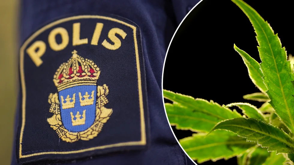 Polisen hittade marijuana hemma hos en man i Eskilstuna.