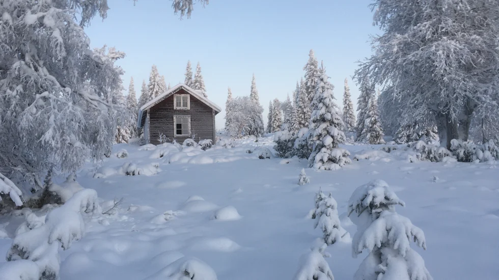 Så fint vinterlandskap. 