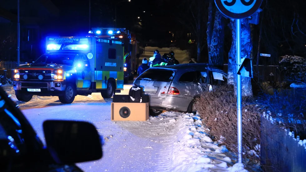 En bil körde under natten in i ett träd.