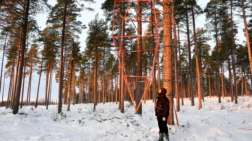 I konstverket "Oro/Himmeli" har Andreas Brännström hämtat inspiration från folktron där just denna form gjordes i halm och hängdes upp i ett hårstrå som beskydd mot det onda.