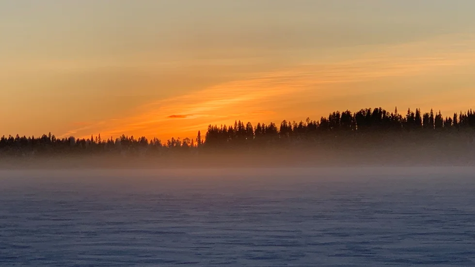 Kia Granström har fotat ännu en fin läsarbild.