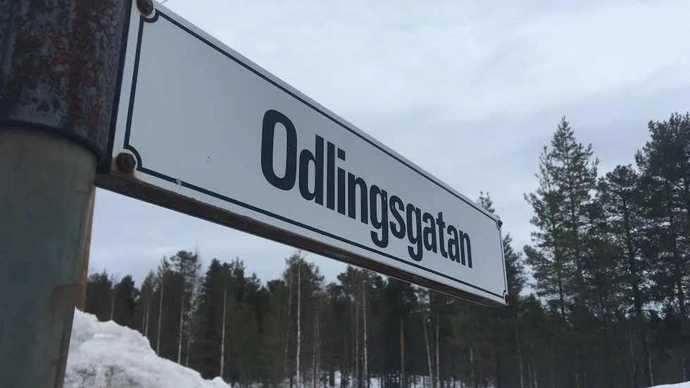 Foto: Malin Johansson/NN
