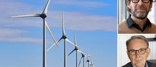 Beslutet strider mot energi- och klimatstrategin