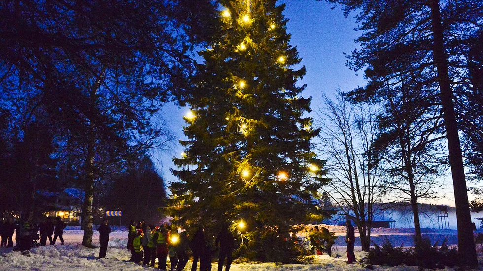 Skyltsöndagen avslutades med julsånger och ringdans runt byagranen i Skråmträsk. Foto: Carina Kvist/frilans
