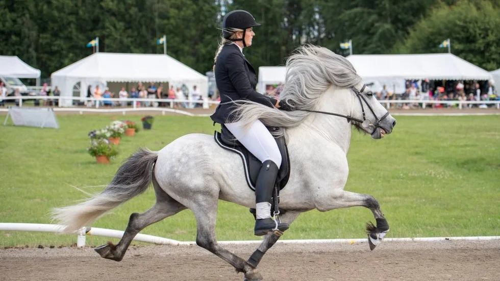 Mästare. Ann-Marie Röst på Söngvinn från Artige tog brons i F1 femgång A-final vid SM för Islandshästar på Himmelstalund i Norrköping under SM-veckan 2016