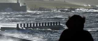 Hela kedjan måste fungera i klimatomställningen