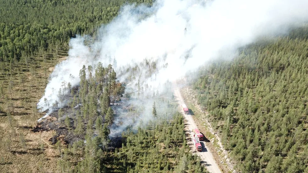 En bild från en drönare som har flugit en bit från skogsbranden mellan Kalvträsk och Bastuträsk, närmare bestämt i Karlsmyra. Foto: Mathias Pettersson