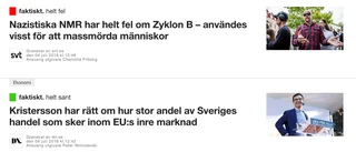 Faktiskt helt fel att faktagranska Förintelsen