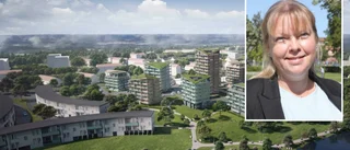 Detaljplan antagen – Gårdsjö strand blir verklighet: "Det är fantastiskt"