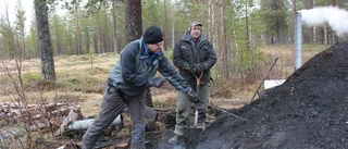 Kolmila i Petikträsk