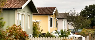 "Ni som vill ha vindkraft – tvingar ni mig att flytta?"