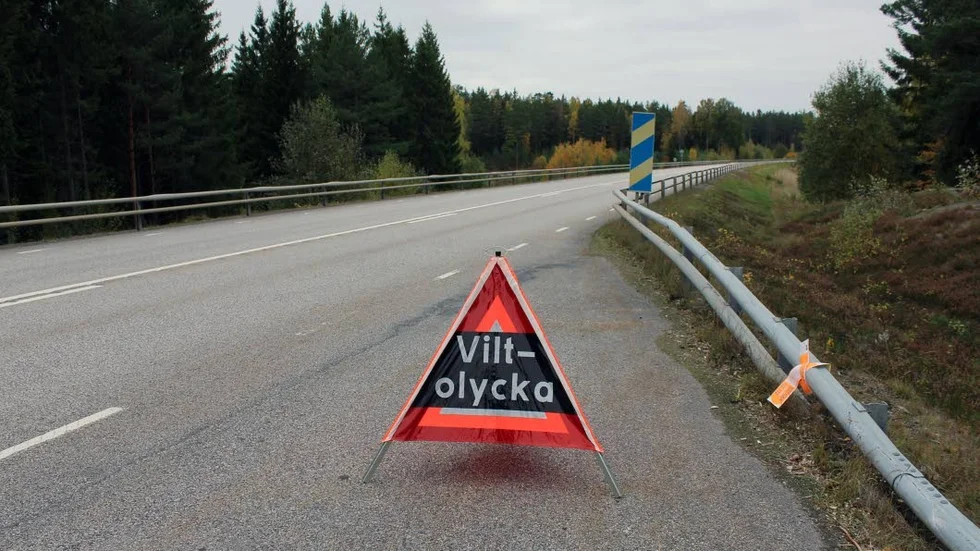 Länsväg 1 175 i Skedevi råkade på tisdagen ut för två viltolyckor inom loppet av några timmar.
