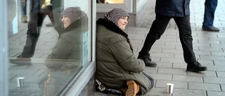 Plocka bär ger större inkomst