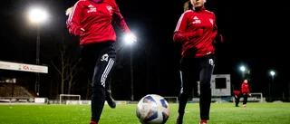 Kvickfotade tekniker Borens senaste nyförvärv: "Unga spelare med stor potential:"
