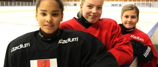 Hela sju från Faik till TV-pucken