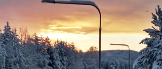 Lisbeth Lundbäcks bild av morgonliv