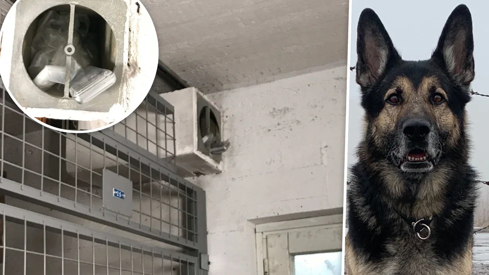 I den här lufttrumman i ett källarförråd i Eskilstuna hittade polisen en stor mängd narkotika gömd. Polishunden Cedrik nosade sig fram till gömman.