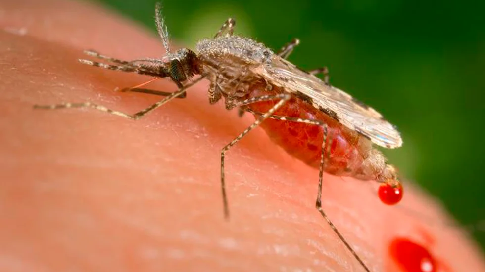 Malariasmittan kan bekämpas med ett nytt vaccin. Världen behöver nu vika pengar till att köpa doser till särskilt drabbade länder.