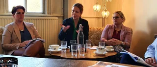 Politikernas rapport äntligen klar – nya förslag ska bryta segregationen i Linköping