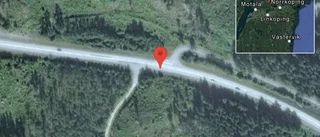 Hästar på vägen