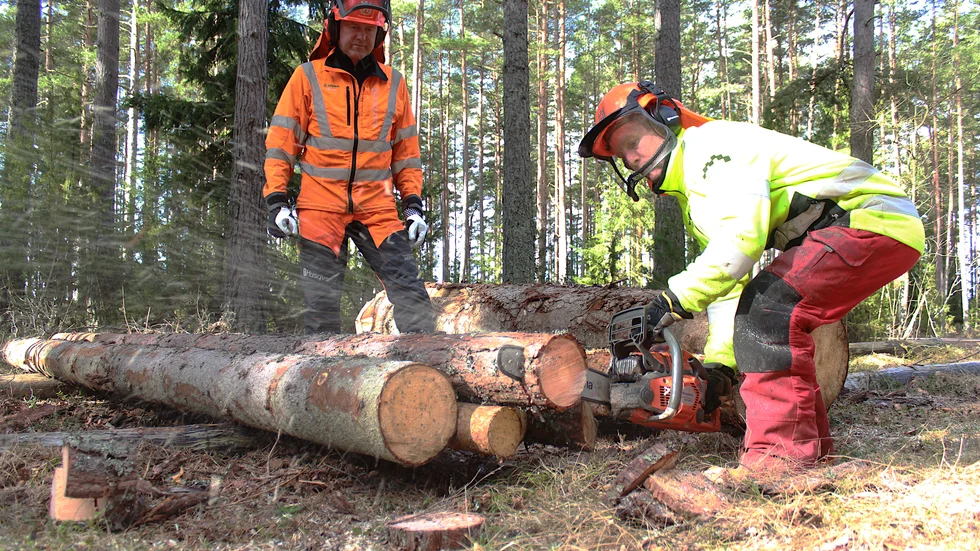 Motorsågskörkortet har olika nivåer som anpassas för olika brukares behov. Här jobbar Joakim Danielsson med motorsågen under ledning av instruktören Thomas Johansson, som belönats med LRF:s silvernål för sitt engagemang.
