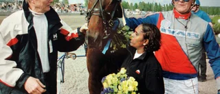Stall Palt plockar fram nya V75-vinnare