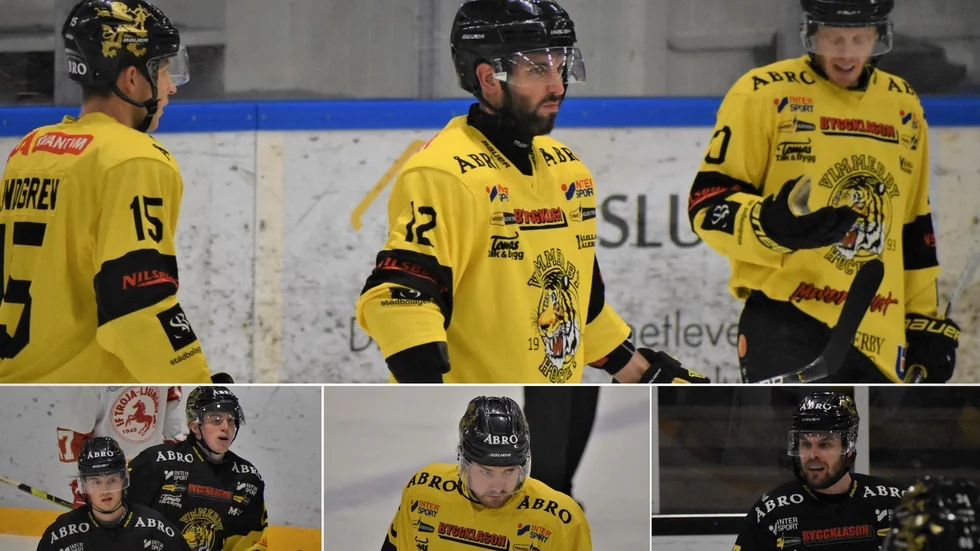 Hur har Vimmerby Hockey-spelarna presterat under säsongen? Sporten har satt betyg på dem.