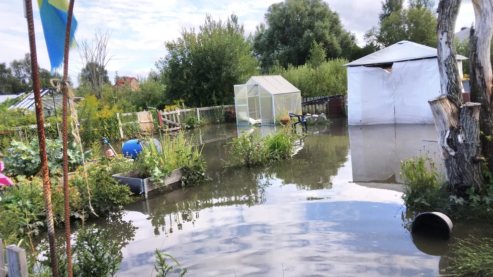 Stämningen var ledsam vid Lasstorps kolonilotter under måndagskvällen, säger Kajsa Hedin.