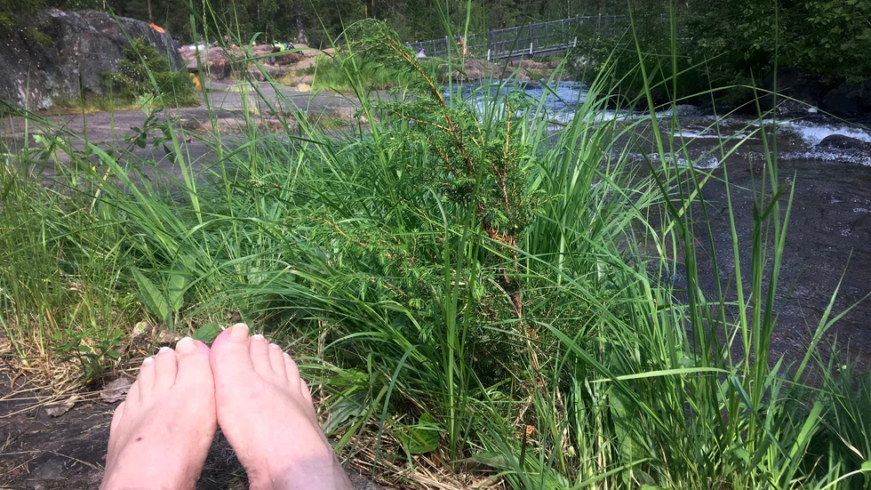 Storforsens biflöden svalkar fint i värmen.