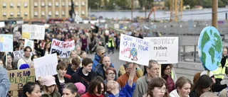 Klimatfrågan är stabilt i topp – dra nytta av det!