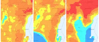 Inget eldningsförbud i länet trots extrem risk
