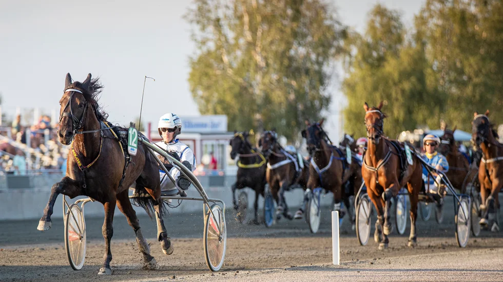 Yankee Sensation-Jorma Särkiniva vinner V86-lopp överlägset till 20 gånger insatsen i Boden.