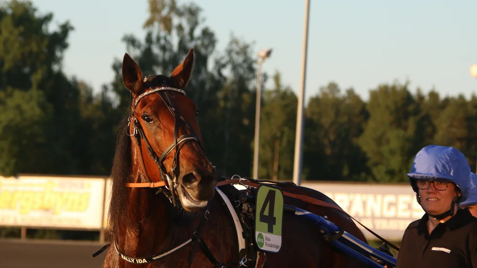 4-åriga Vitsandshästen Rally Ida är tillbaka på tävlingsovalen efter tre raka segrar i juni och juli.